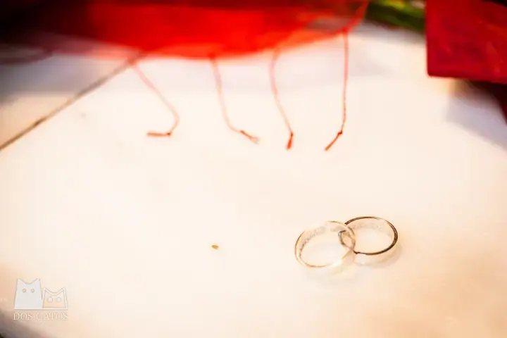 Fotografía de boda: Fede y Tulia · Madrid, Centro · foto 44 de 61 · Dos Gatos, fotógrafos en Madrid