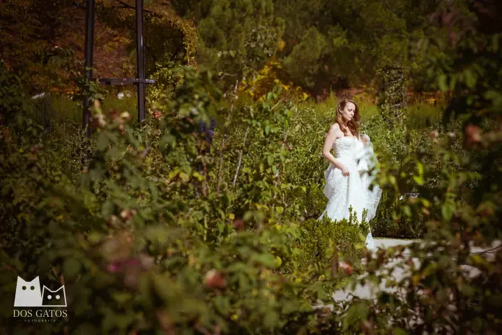 Wedding photography: Diana y Daniel · Madrid, El Retiro · photo 49 of 60 · Dos Gatos, photographers in Madrid