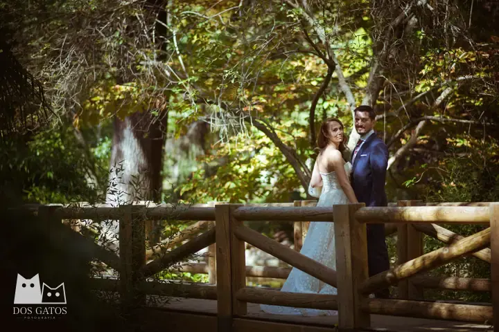 Wedding photography: Diana y Daniel · Madrid, El Retiro · photo 46 of 60 · Dos Gatos, photographers in Madrid