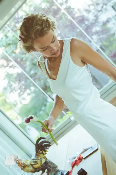 Fotografía de boda: Sara y Paco · Torrelodones, Madrid · foto 14 de 61 · Dos Gatos, fotógrafos en Madrid